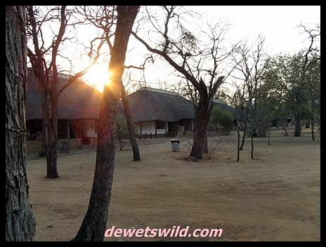 Shingwedzi bungalows
