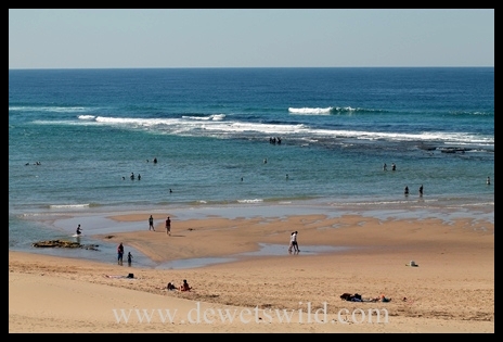 The beach at Cape Vidal The beach at Cape Vidal