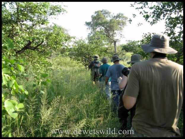 Everyday Life - Kruger National Park