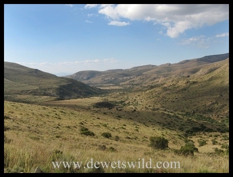 Mountain Zebra National Park