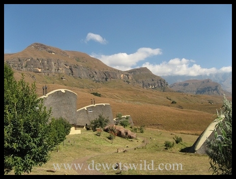 Didima Camp | DeWetsWild