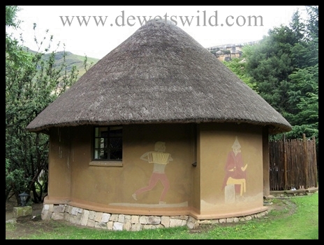 Glen Reenen, Golden Gate, December 2012