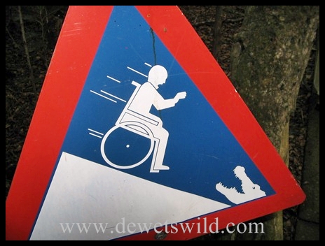 Resolved - Crocodiles