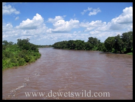 Shingwedzi River in flood1
