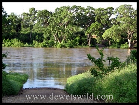Shingwedzi River in flood2
