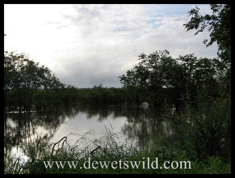 Stream in flood KNP2