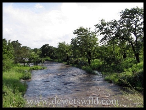 Stream in flood KNP3
