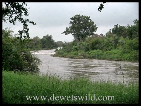 Stream in flood KNP5