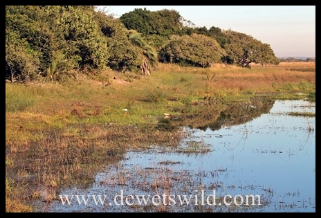 worldwetlandsday_7096