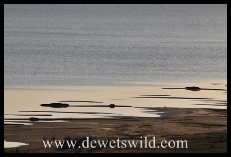 worldwetlandsday_7202