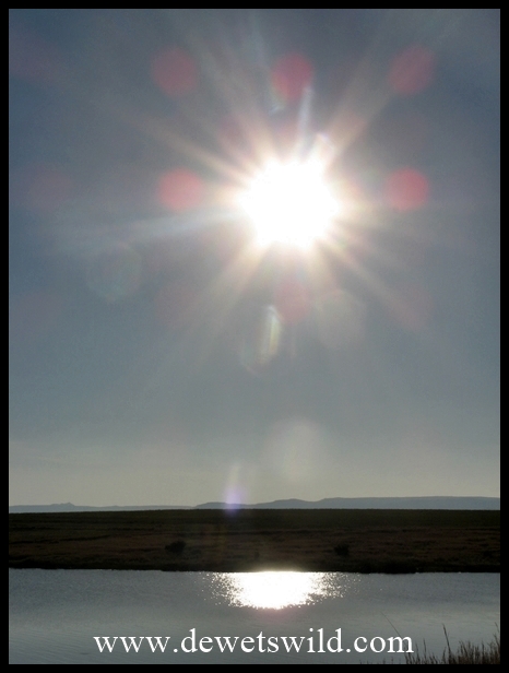 ChelmsfordReflections3