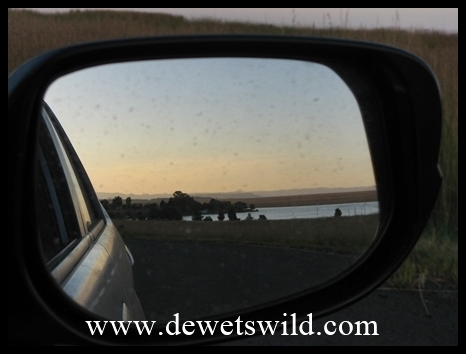 ChelmsfordReflections4