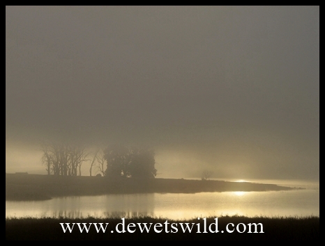 ChelmsfordReflections5