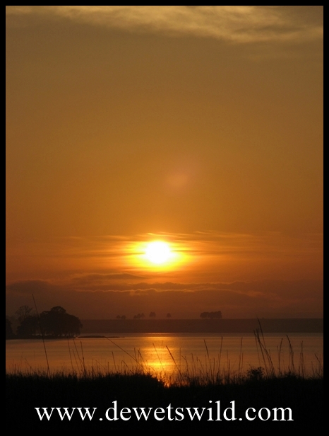 ChelmsfordReflections6