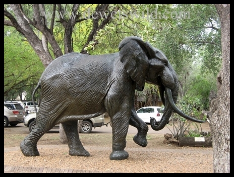 Letaba_ElephantHall2
