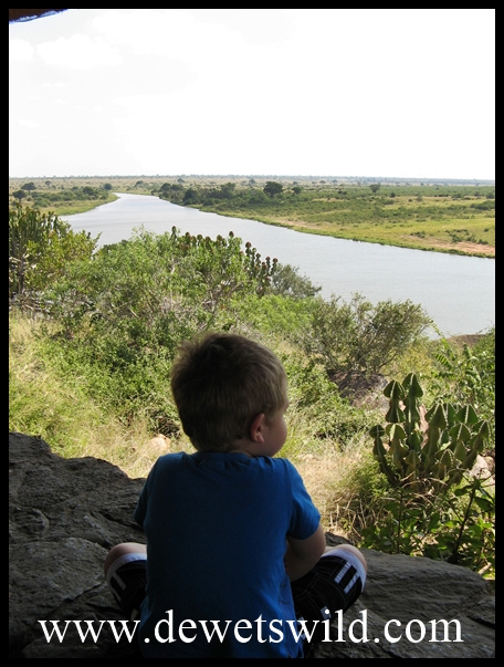Krokodilbrug_29042013