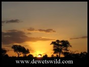 Krokodilbrug_30042013