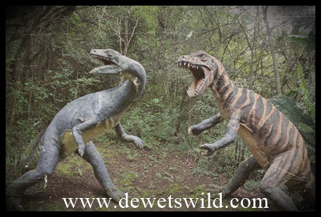 Gryponyx and Massospondylus 