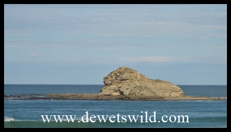 The Beach(2)_Swartvlei Strand