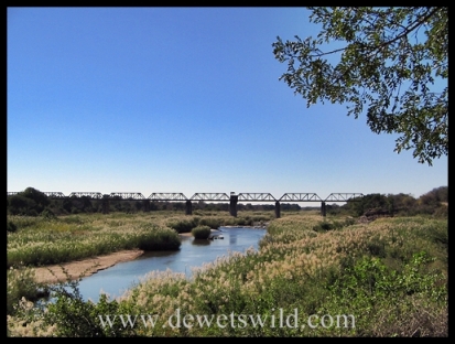 The railway bridge over the Sabie River, seen from Skukuza Rest Camp