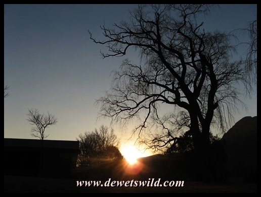 Sunrise over Golden Gate