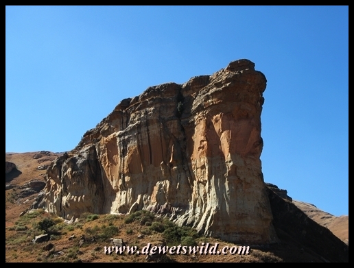 The iconic Brandwag buttress