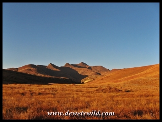 Grand Golden Gate scenery
