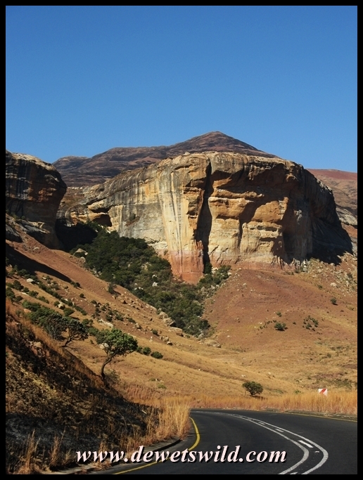 Grand Golden Gate scenery