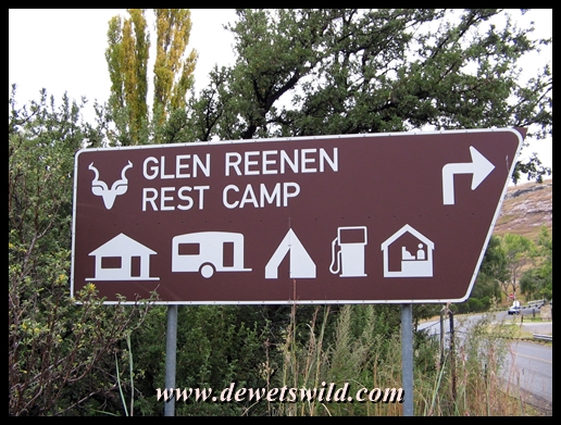 Glen Reenen