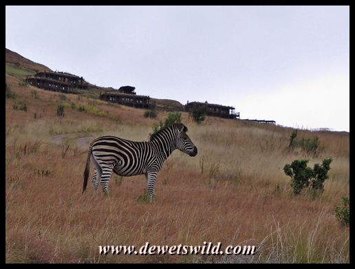 Highlands Mountain Retreat