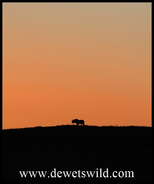 GoldenGateAug20130802