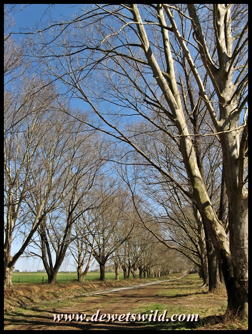 Karkloof Conservation Centre