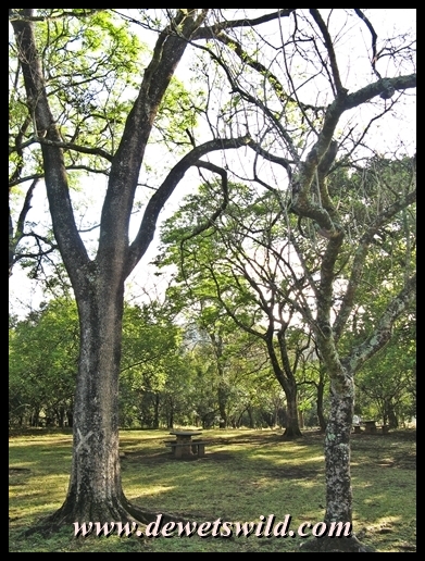One of the picnic spots