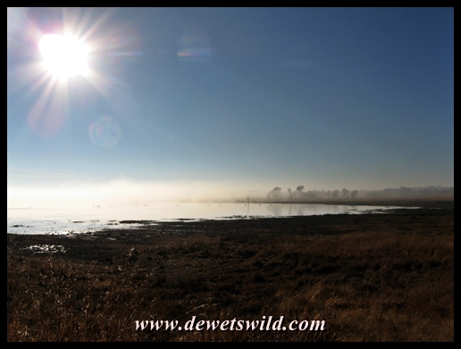 Midmar Dam Game Park