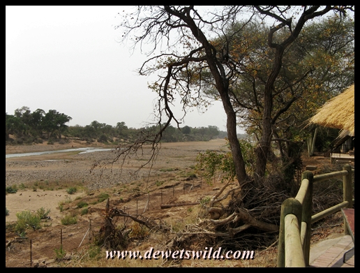 The view downstream from camp, to where the causeway is now buried beneath a thick layer of sand