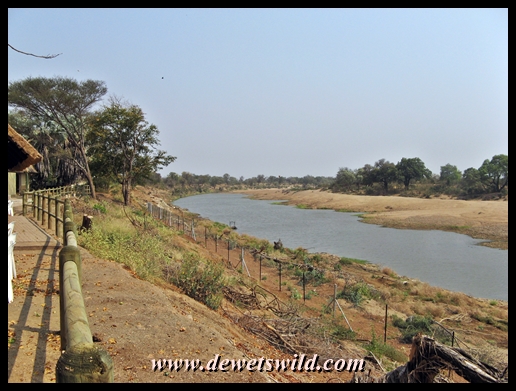 View upstream from camp, where a huge pool of water now houses hippos and crocodiles where previously there would have been nothing but sand in the dry season