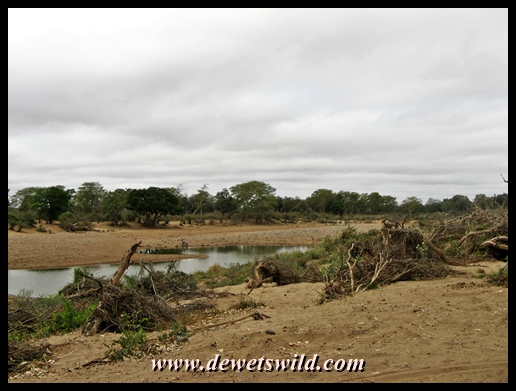 Debris, deep sand and newly formed pools of water along the course of the Shingwedzi River