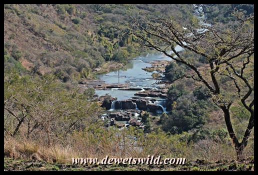 Umgeni Valley Nature Reserve