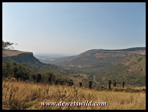 Umgeni Valley Nature Reserve
