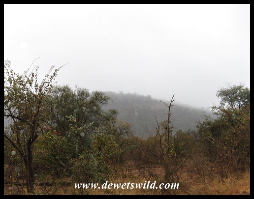 Khama working her rain-making magic over Gumbandebvu