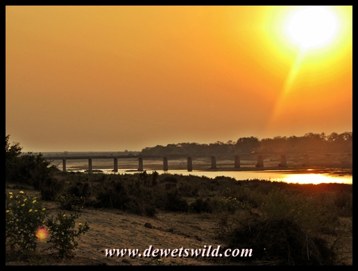 Letaba River scenery