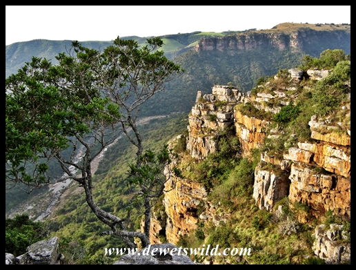 Scenery at Oribi Gorge Hotel