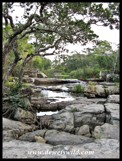 Scenery at Oribi Gorge Hotel