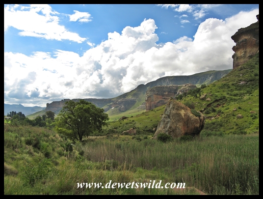 GoldenGate_Dec2013 (53)