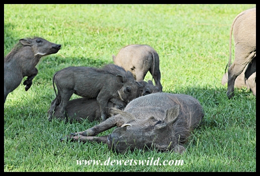 There's always one kid that can't sit still at the table!