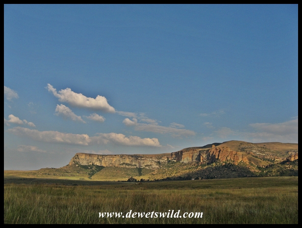 Golden Gate Long Weekend