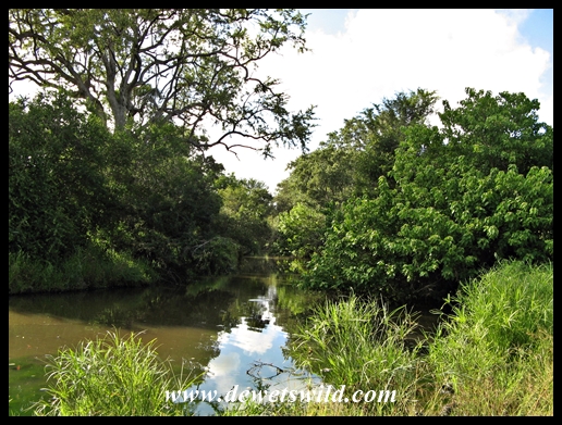 More beautiful scenery