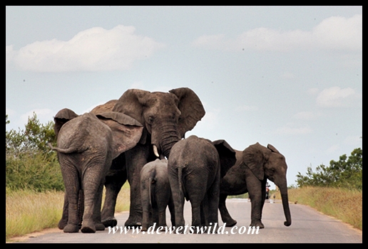 Big brother has something to share with the youngsters