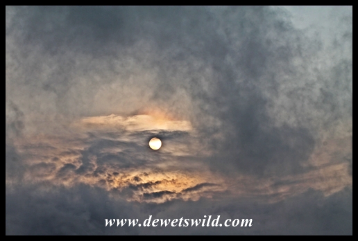 Overcast and drizzly morning