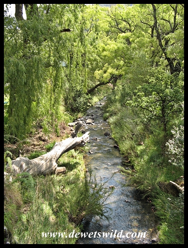 World Water Day 2014